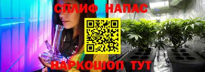 шишки Берёзовский