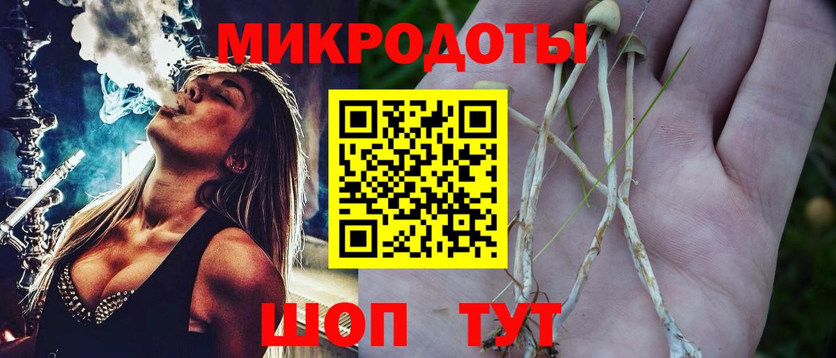 Карталы  Галлюциногенные грибы Psilocybe  Галлюциногенные грибы прущие грибы  Вход с VPN 